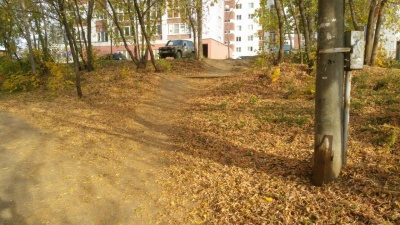 photo_2022-06-21_07-49-32.jpg photo_2022-06-21_07-49-32.jpg