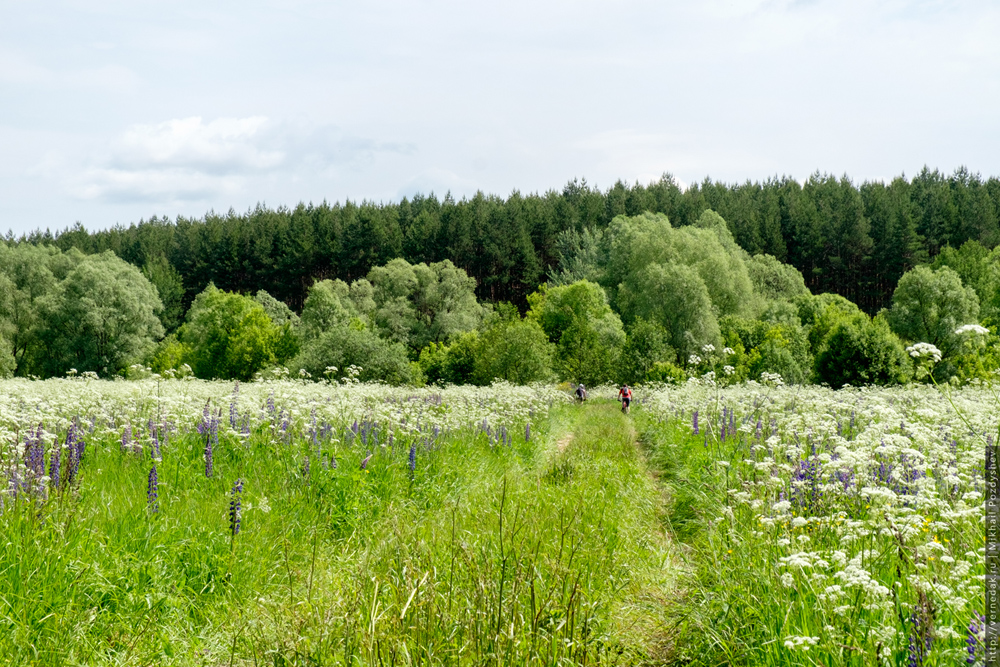 погода кременки калужской на неделю