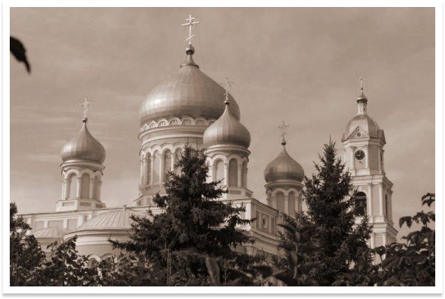 Все Равно На Новый Год Писькой Буду